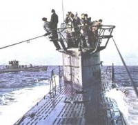 14)U-177 BACHSTELZE