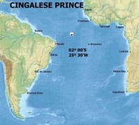 42)CINGALESE PRINCE U-111