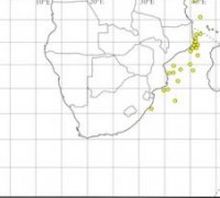 21)THE JAPS OFF MOZAMBIQUE CHANNEL